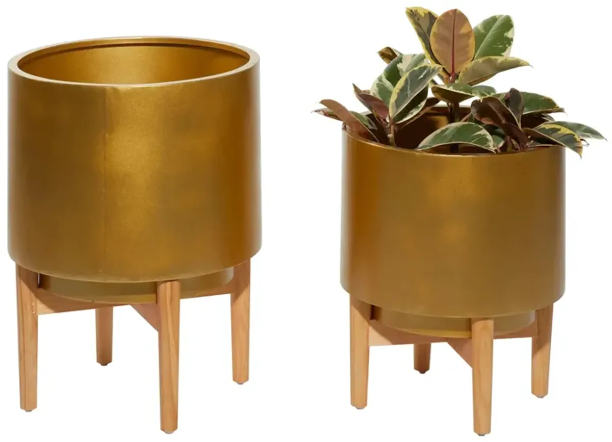 CosmoLiving Everafter Planter Set of 2 in Gold by UMA Enterprises