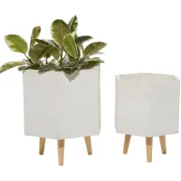 Ivy Collection Wyvernwoode Planter - Set of 2 in White by UMA Enterprises