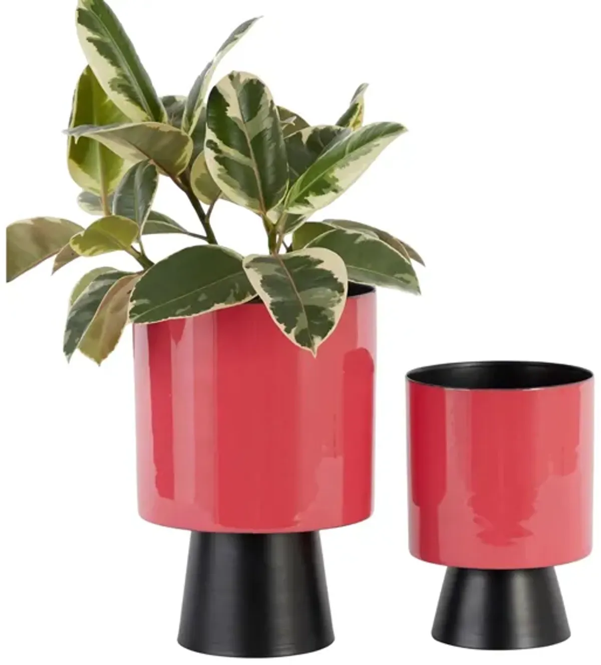 Ivy Collection Majorette Planter Set of 2 in Red by UMA Enterprises