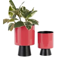 Ivy Collection Majorette Planter Set of 2 in Red by UMA Enterprises