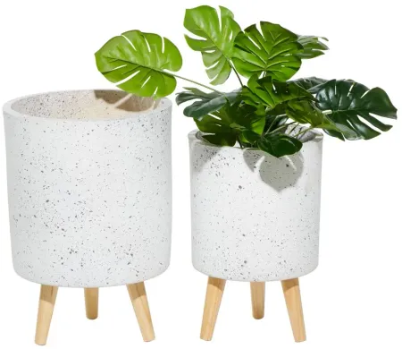 Ivy Collection Djini Planter - Set of 2 in White by UMA Enterprises