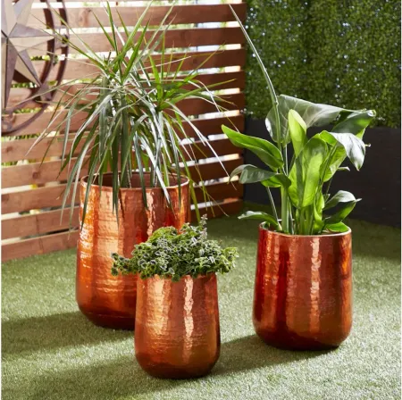 Ivy Collection Selwyn Planter Set of 3 in Copper by UMA Enterprises