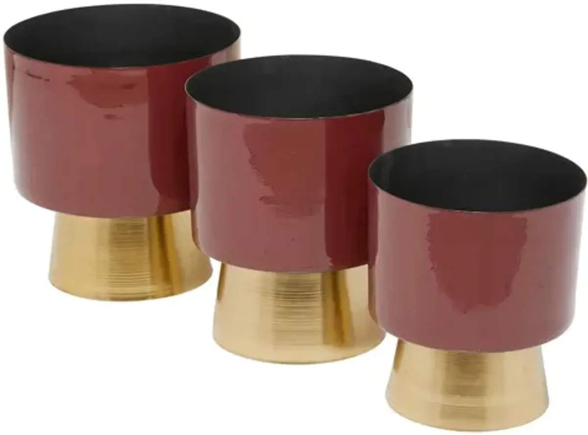 Ivy Collection Headmistress Planter Set of 3