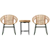 Fisher 3-pc... Outdoor Set in Natural by SEI Furniture
