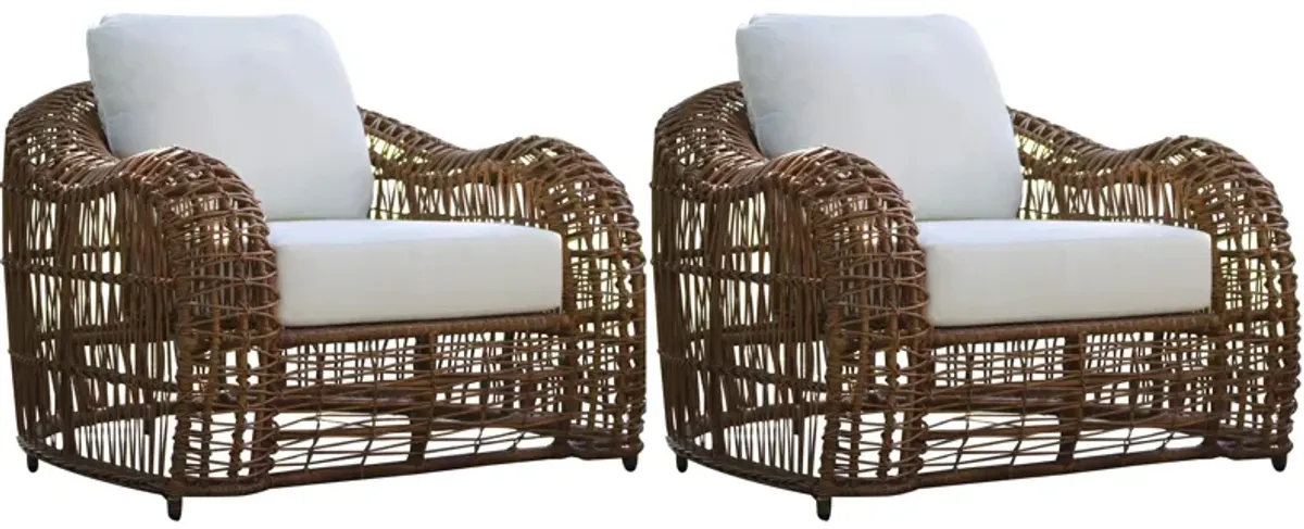 On The Vine Outdoor Armchair - Set of 2