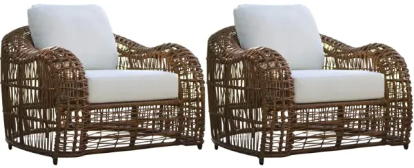 On The Vine Outdoor Armchair - Set of 2