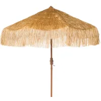 Tiki Outdoor Crank Umbrella in Rusty Orange by Safavieh