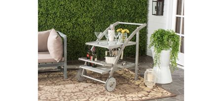 Hooper Outdoor Tea Cart in Slate Gray by Safavieh