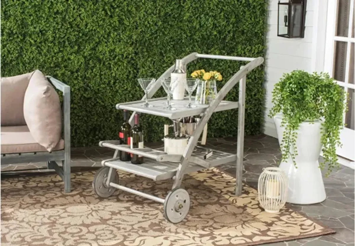 Hooper Outdoor Tea Cart