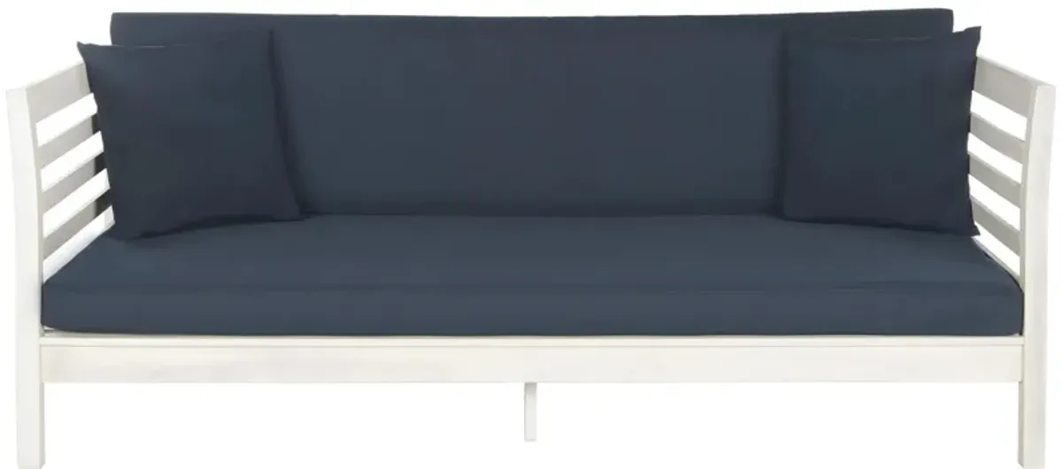 Moore Daybed in Black by Safavieh