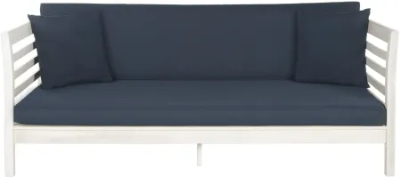 Moore Daybed in Black by Safavieh