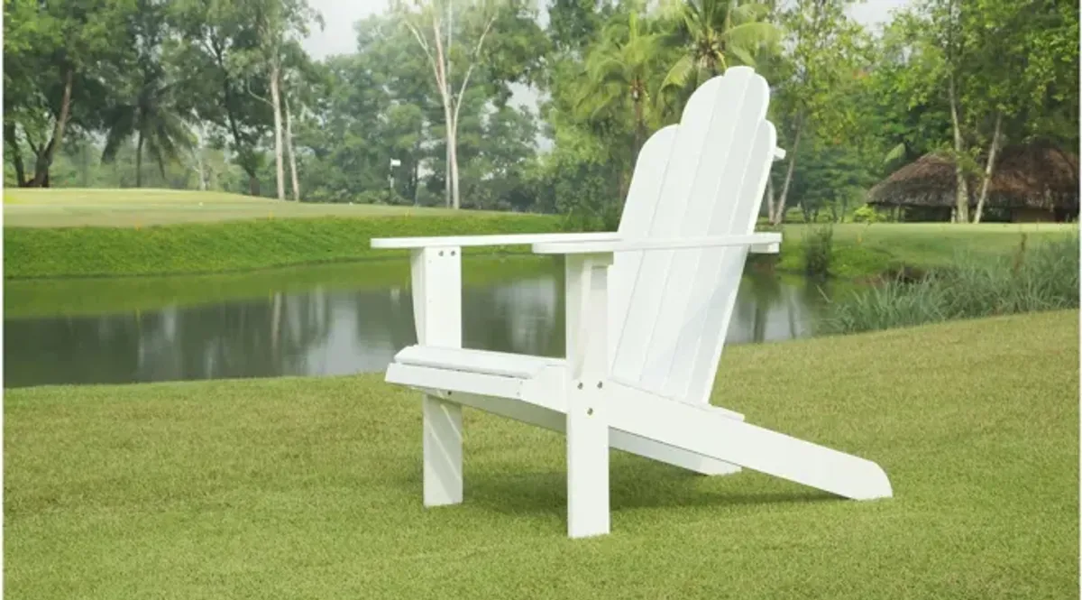 Adirondack Chair