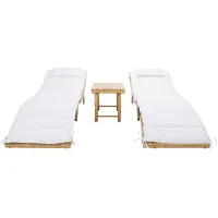 Colfax 3 Piece Sun Lounger Set in Natural by Safavieh