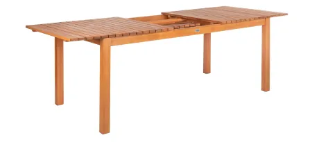 Sarita Outdoor Expandable Dining Table in Tan by Safavieh