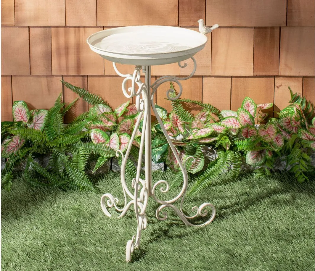 Halton Bird Bath in Pearl White by Safavieh