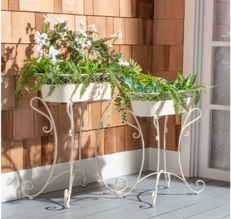 Daire Outdoor Planters in Pearl White by Safavieh