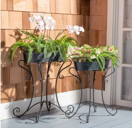 Daire Outdoor Planters in Black Rust by Safavieh