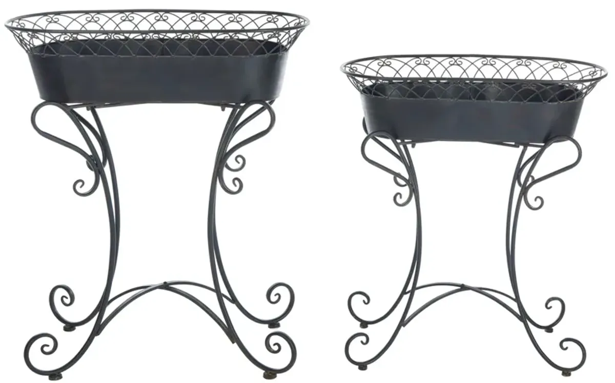 Daire Outdoor Planters in Black Rust by Safavieh