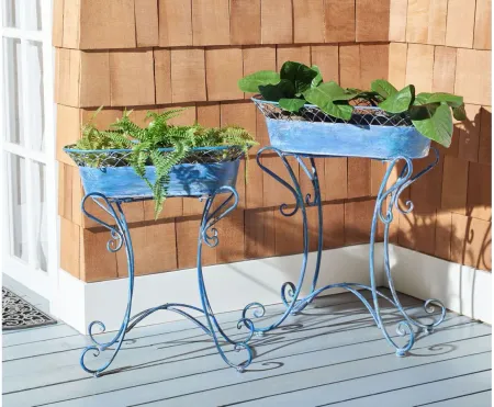Daire Outdoor Planters in Antique Blue by Safavieh