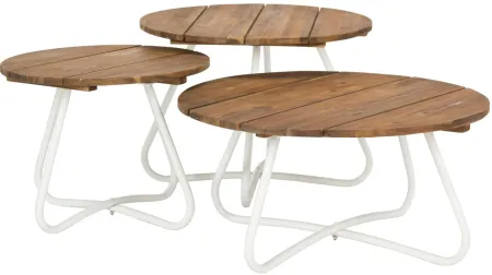 Akiko Outdoor 3 -pc Wood Top Coffee Table in White by Safavieh