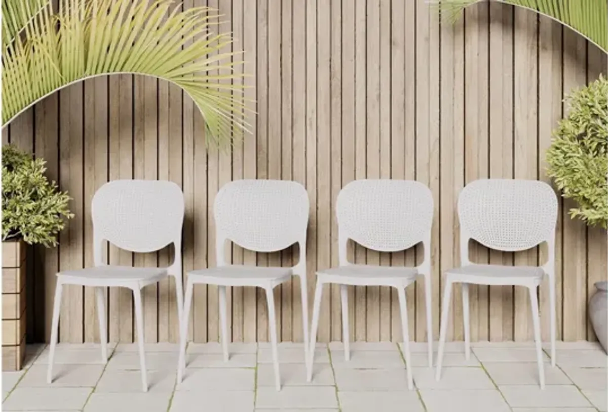 Amazonia Outdoor 7-pc. Eucalyptus Wood Dining Set