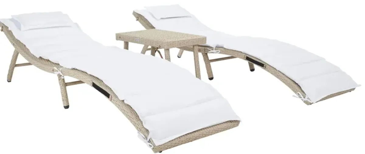 Colfax 3 -pc Outdoor Sun Lounger Set