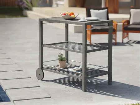 Morgan Outdoor Kitchen/Serving Cart in Gray by SEI Furniture
