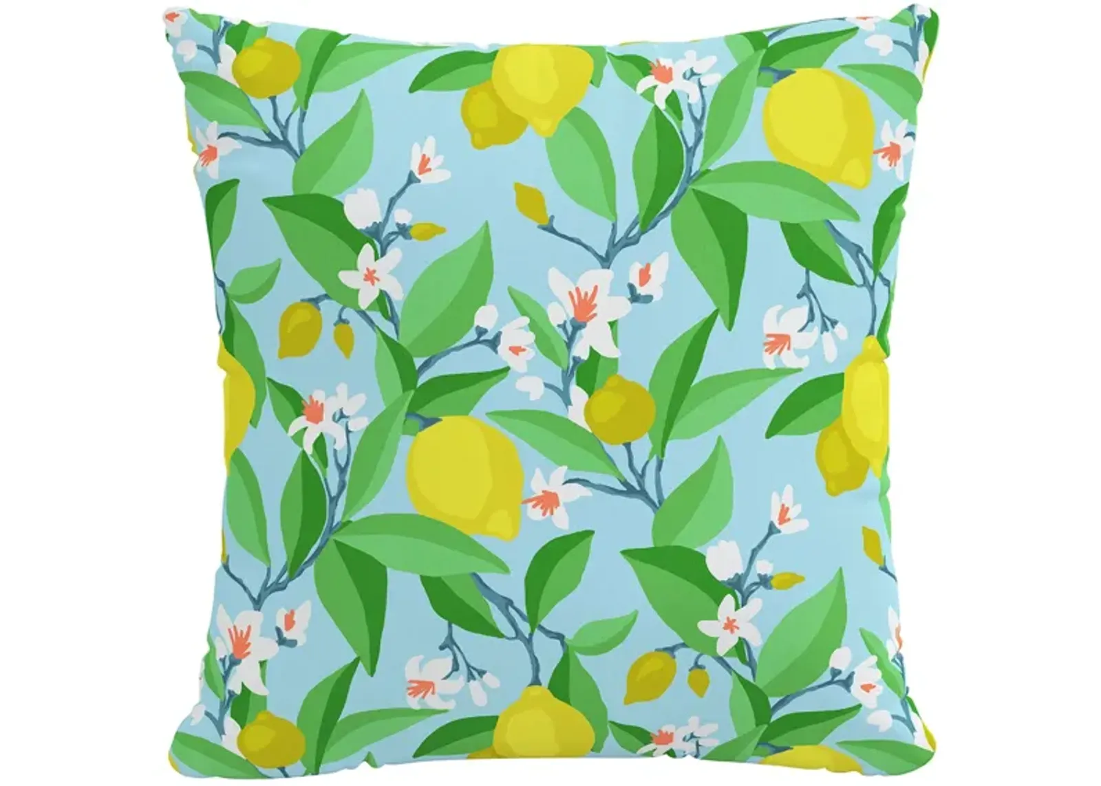 22" Outdoor Summer Citrus Pillow in Summer Citrus Blue by Skyline