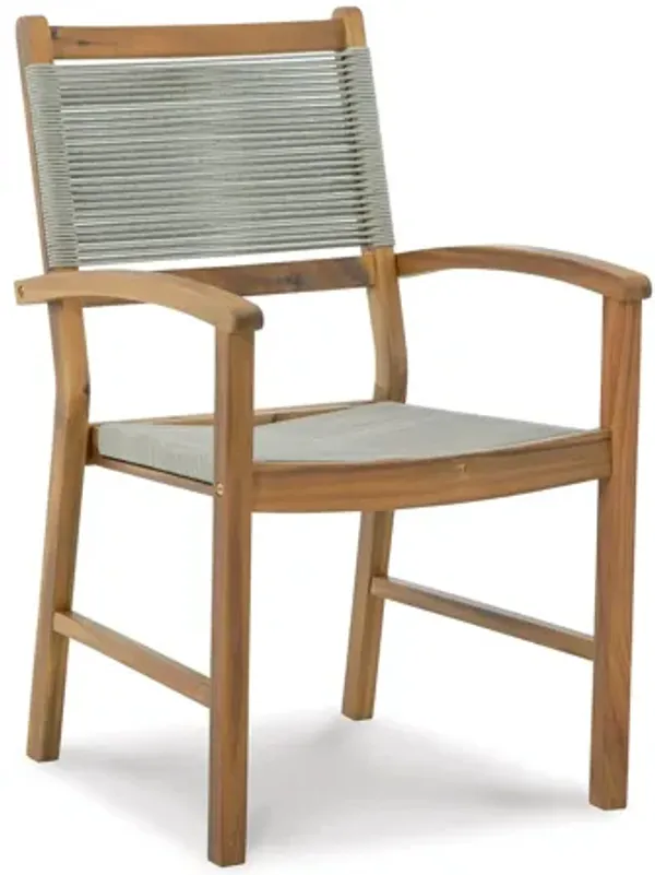 Janiyah Outdoor Dining Chair (Set of 2)