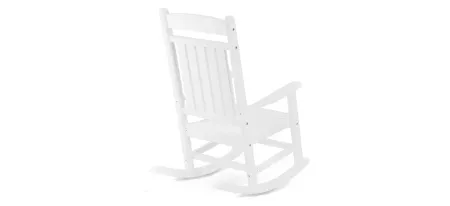Icon Classic Rocker in Gray / Brown / White by DUROGREEN OUTDOOR