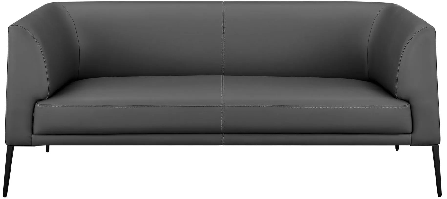 Matias Loveseat in Gray by EuroStyle