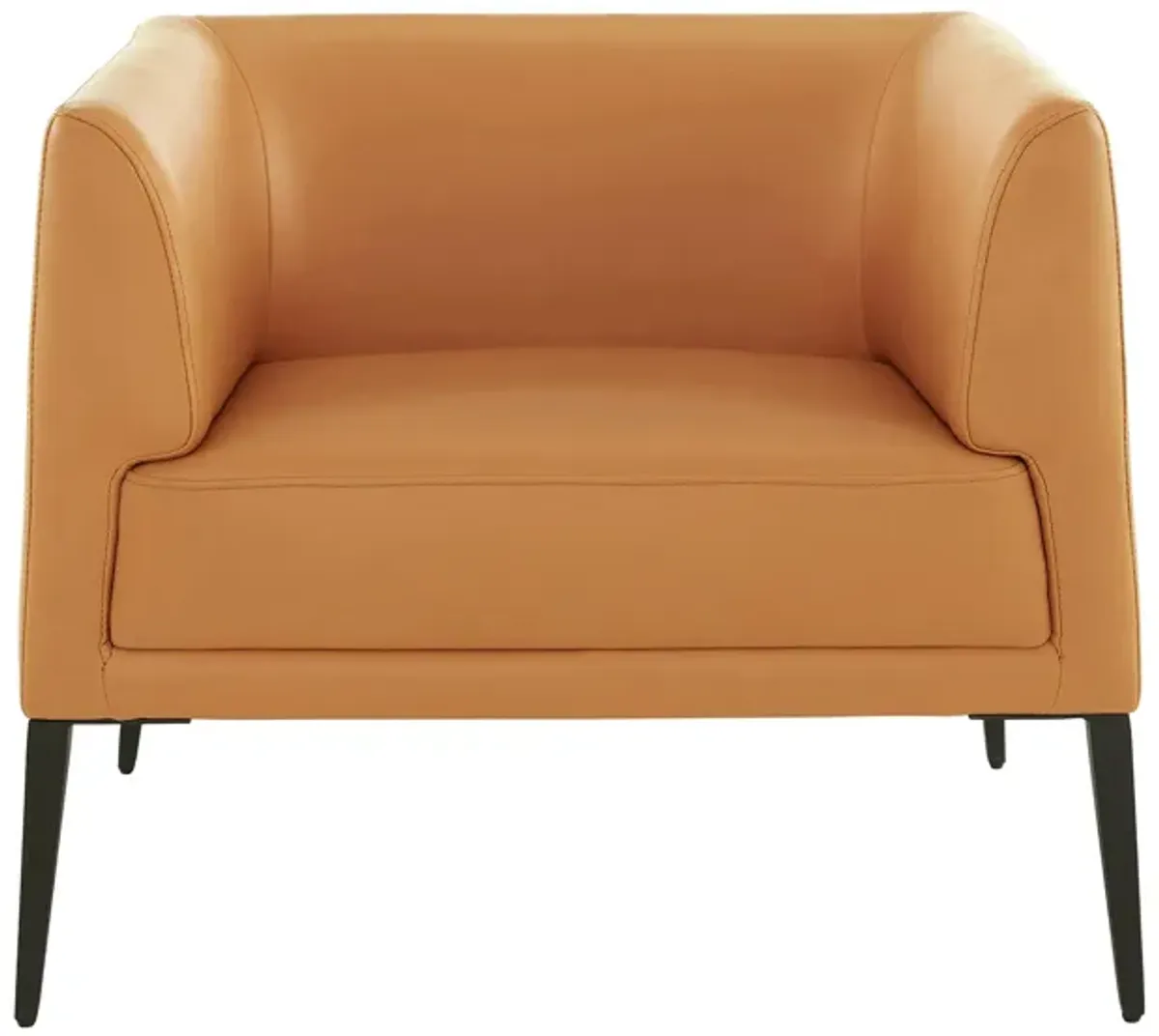 Matias Lounge Chair in Cognac by EuroStyle