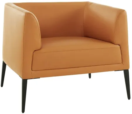 Matias Lounge Chair in Cognac by EuroStyle