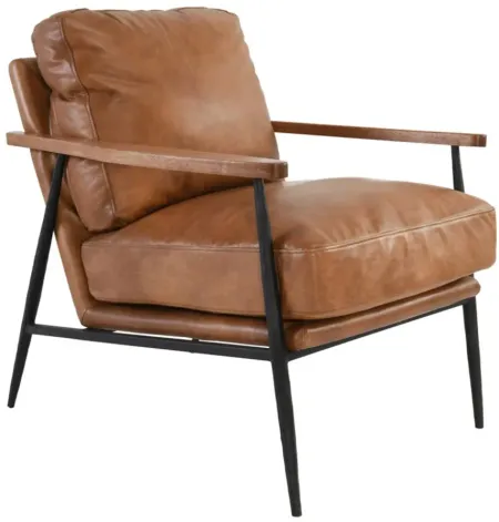 Christopher Club Chair in Brown upholstery, black frame by Classic Home