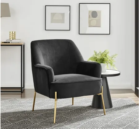 Arianna Accent Armchair in Alamo Black by New Pacific Direct
