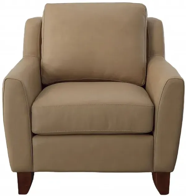Pavia Chair