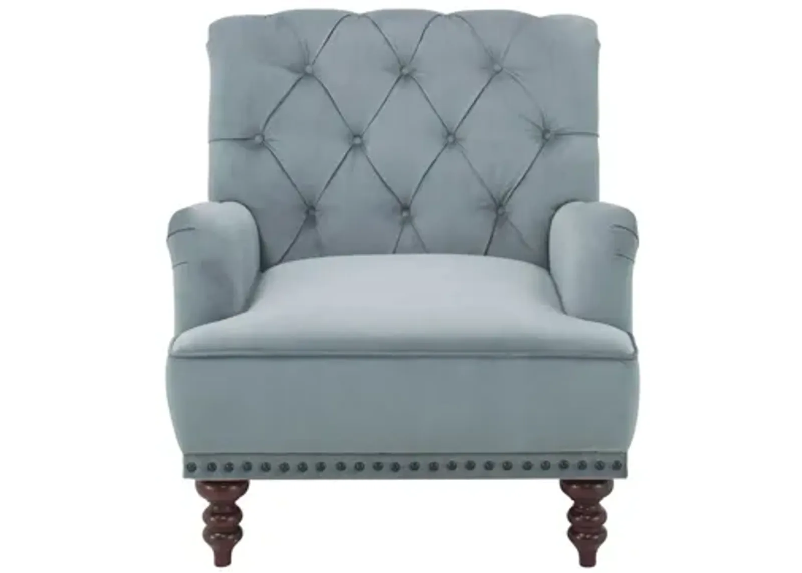 Camila Tufted Accent Chair in Powder Blue by Bellanest