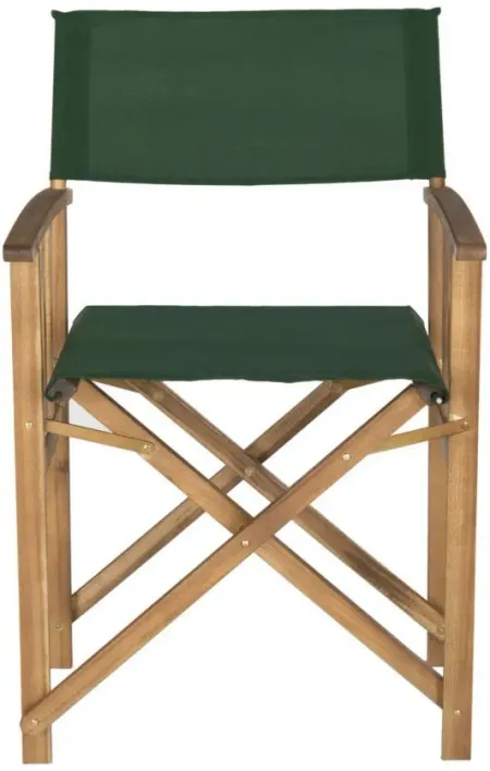 Laguna Outdoor Director Chair: Set of 2 in Green by Safavieh
