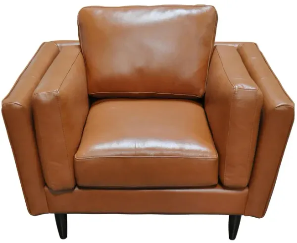 Zander Chair