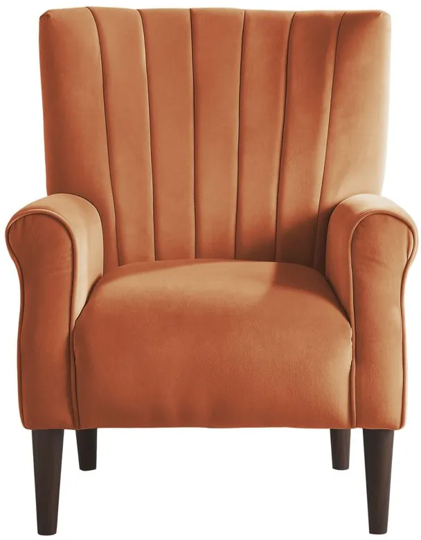 Canovia Accent Chair in Orange by Homelegance