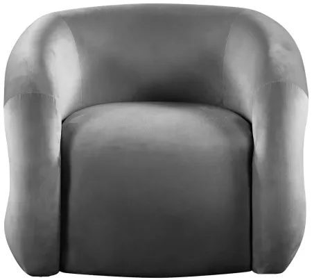 Roxbury Velvet Accent Chair in Grey by Meridian Furniture
