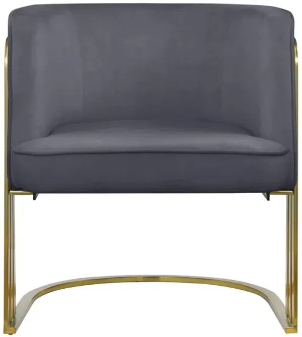Rays Velvet Accent Chair
