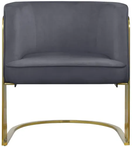 Rays Velvet Accent Chair in Grey by Meridian Furniture