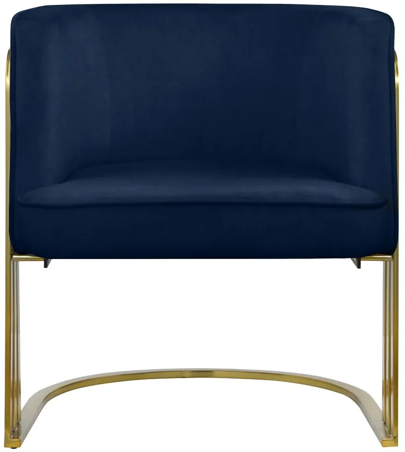 Rays Velvet Accent Chair in Navy by Meridian Furniture