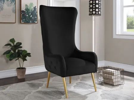 Alexander Velvet Accent Chair in Black by Meridian Furniture