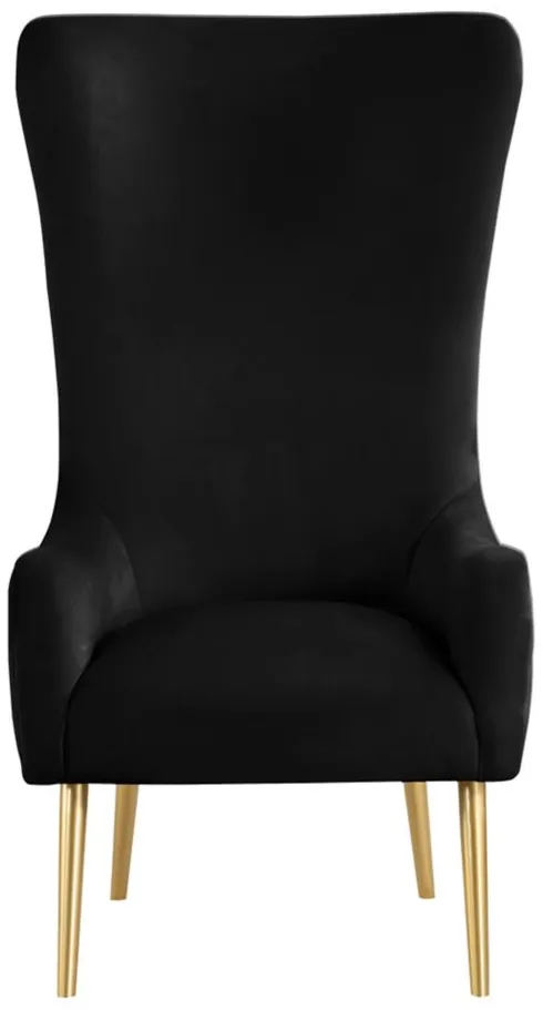 Alexander Velvet Accent Chair in Black by Meridian Furniture
