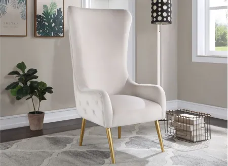 Alexander Velvet Accent Chair in Cream by Meridian Furniture