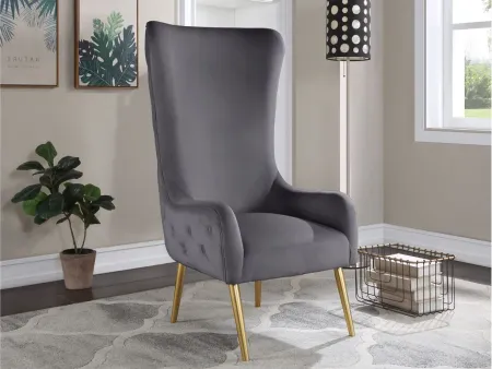 Alexander Velvet Accent Chair in Grey by Meridian Furniture