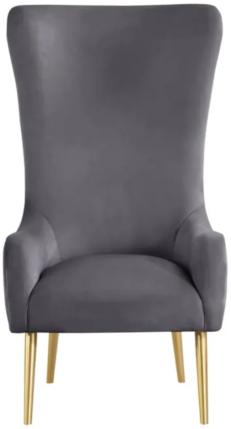 Alexander Velvet Accent Chair in Grey by Meridian Furniture