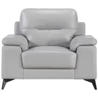 Selles Accent Chair in Silver Gray by Homelegance